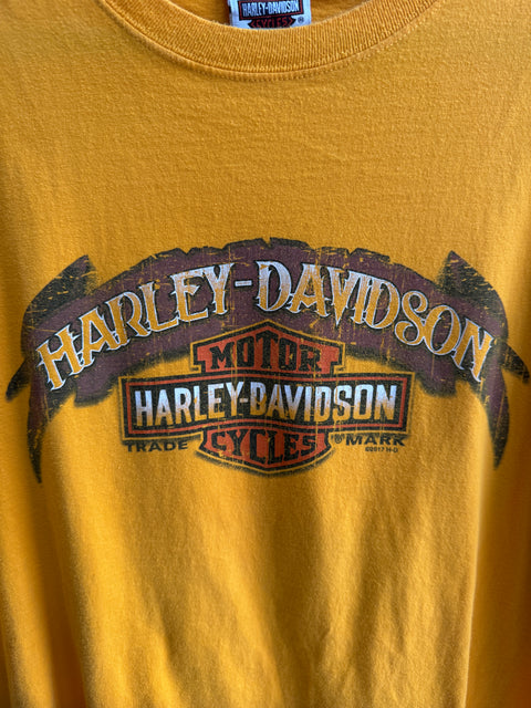 2015 Harley-Davidson Orange Brunswick, GA Tee