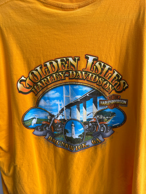 2015 Harley-Davidson Orange Brunswick, GA Tee