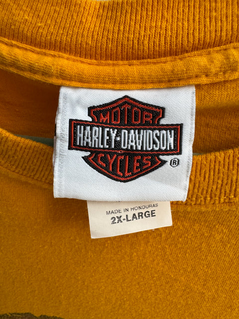 2015 Harley-Davidson Orange Brunswick, GA Tee